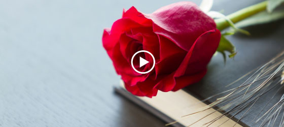 book_rose_video
